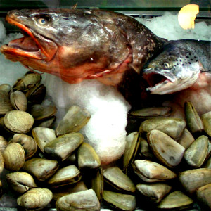 fish